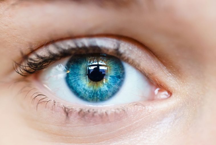 Do Eye Exercises Improve Your Vision