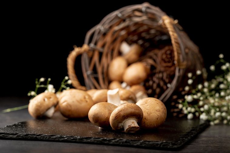 How Mushrooms May Lower Depression Risk