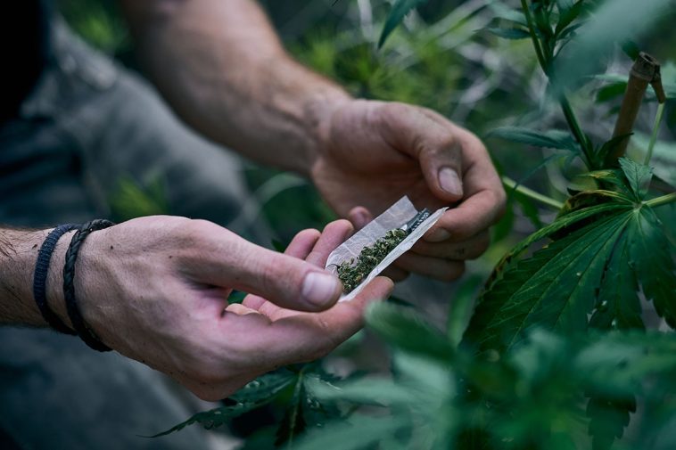 The Long-Term Effects of Smoking Marihuana Every Day